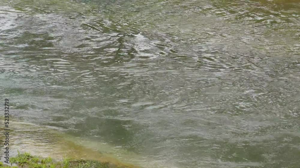 川の水の流れ 川の水の流れ
