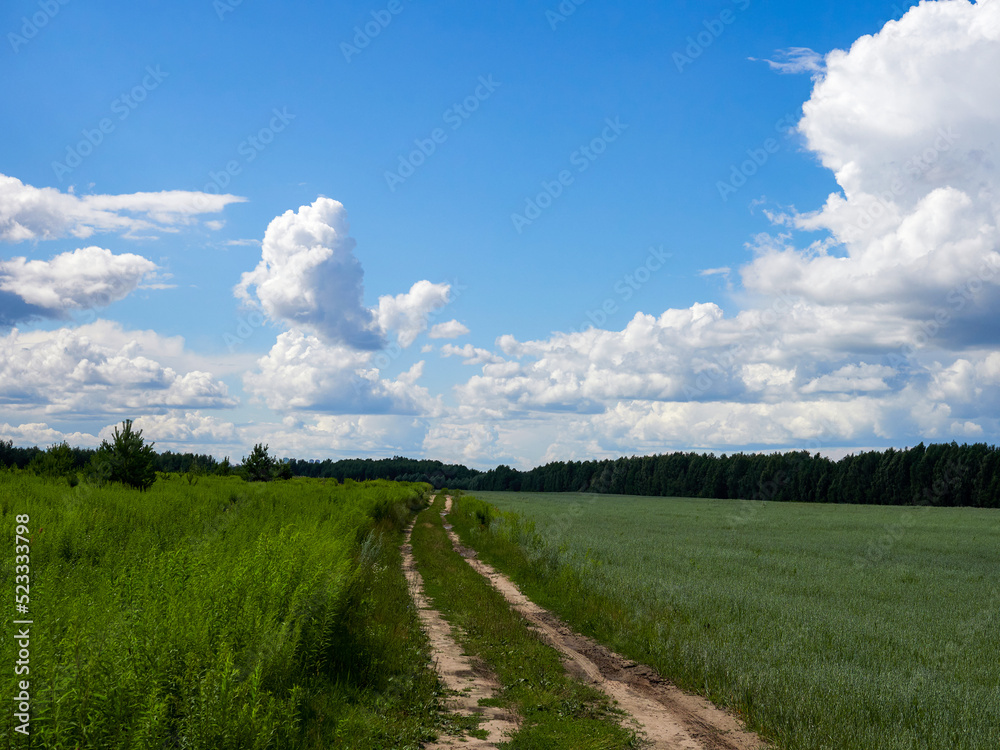 Fototapeta premium Beautiful colorful summer spring natural landscape with a lake in Park surrounded by green foliage of trees in sunlight and stone path in foreground.
