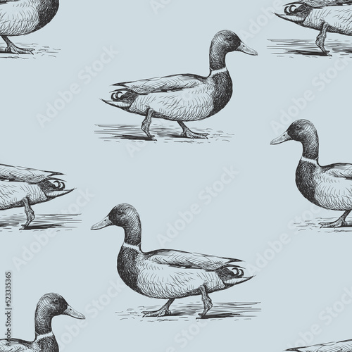 Fotografiet Seamless pattern of sketches walking wild ducks
