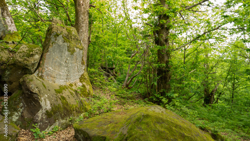 Moss-covered cobblestone in the green forest. Sochi  Lazarevskoe  Berendeevo kingdom
