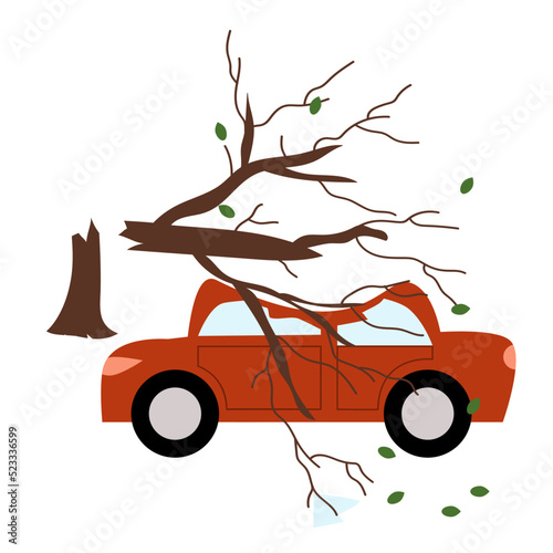 A broken tree fell on the car. Damaged car.