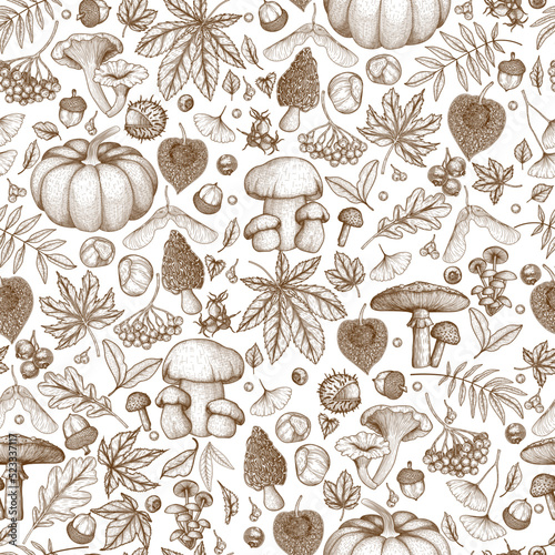 Seamless vector pattern autumn in engraving style. Oak leaf, acorns, berries, maple leaves, ginkgo, mushrooms, chestnut, physalis, wild rose, mountain ash, pumpkin