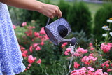 A woman is watering the flowers in the garden with a watering can.