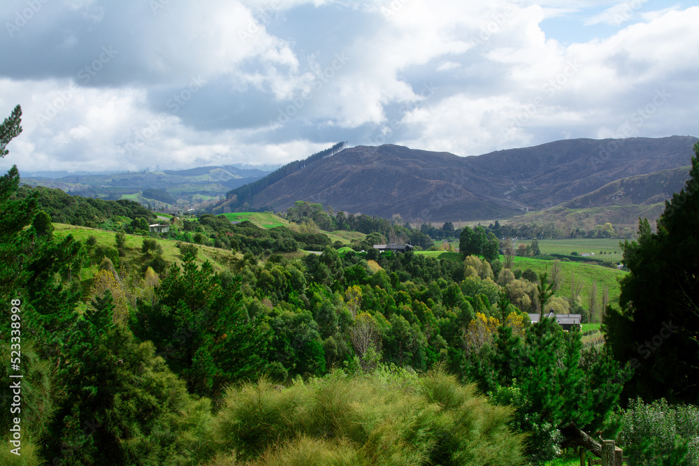 A view over green forestry hills under cloudy sky. Beautiful autumn day at Hawkes Bay, New Zealand