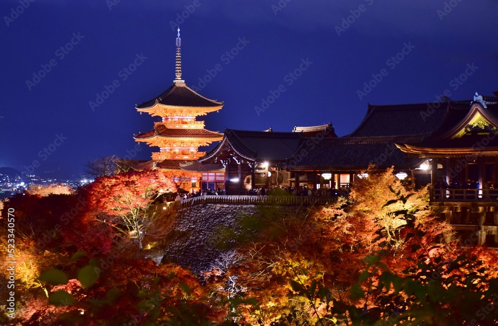 秋の京都 清水寺ライトアップ 秋の京都 清水寺ライトアップ