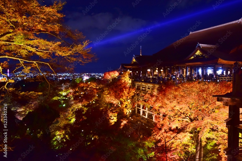 Fototapeta premium 秋の京都 清水寺ライトアップ