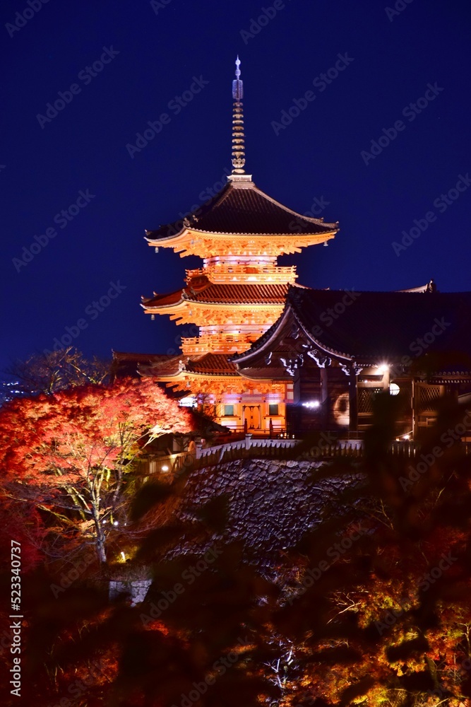 秋の京都 　清水寺ライトアップ