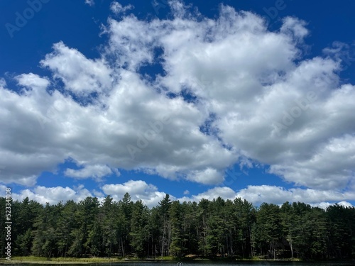 sky and blue clouds over the forest