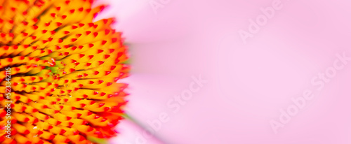 Panel kuchenny z motywem Kwiat z tłem