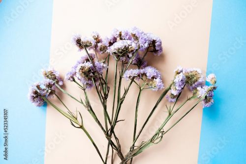 bouquet of purple dried flowers on a beige and blue background. Dry flowers for decorating bouquets