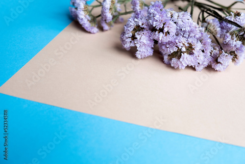 bouquet of dry flowers on a colored background