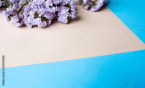 purple dried flowers on a beige and blue background, free space