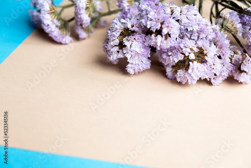 Floristics. Dried flowers for decorating bouquets. Dry flowers on beige and blue backgrounds, free space