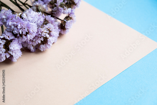 Floristics. Place for text. Flowers on a blue and beige background