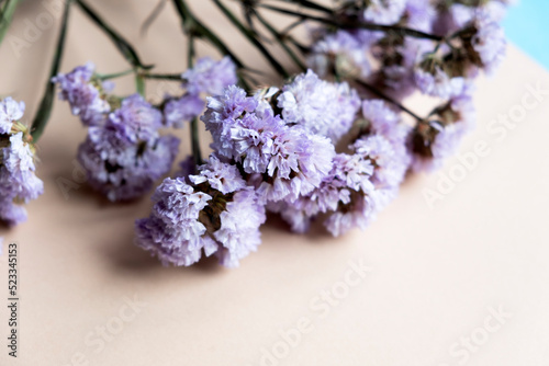 Dry flowers of lilac color on a beige background. Floristics