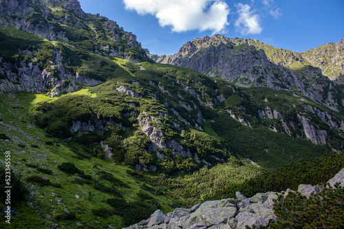 Fototapeta Naklejka Na Ścianę i Meble -  A hiking trail in Dolina Roztoki, Tatry mountains, near Zakopane