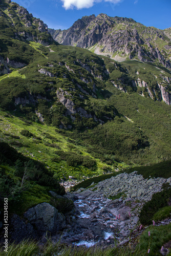 A hiking trail in the valley of five lakes along Roztoka river, Zakopane, Tatry mountains, Poland