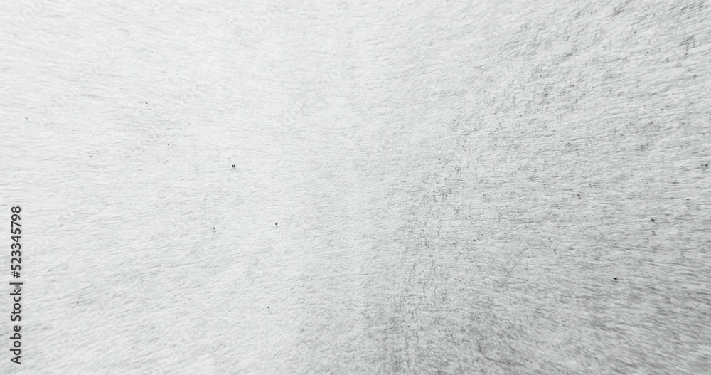 Fototapeta premium Grunge overlay. Grain noise texture. Weathered effect. Black dust dirt particles on white rough wall surface abstract copy space background.
