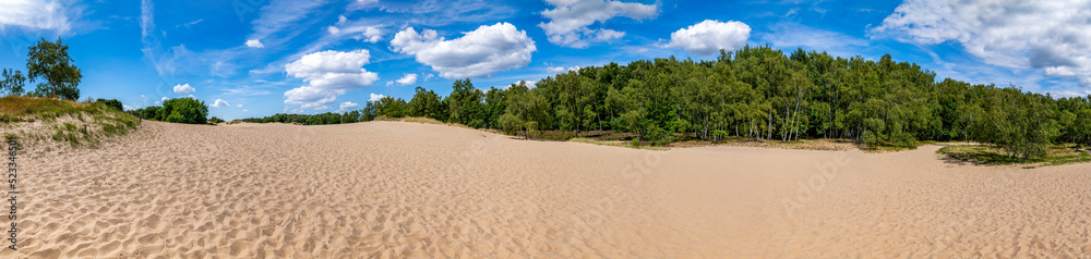 Hamburg, Germany. The nature reserve Boberger Niederung with shifting dunes. Hamburg, Germany. The nature reserve Boberger Niederung with shifting dunes.