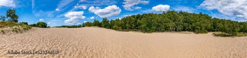 Hamburg, Germany. The nature reserve Boberger Niederung with shifting dunes. © foto-select