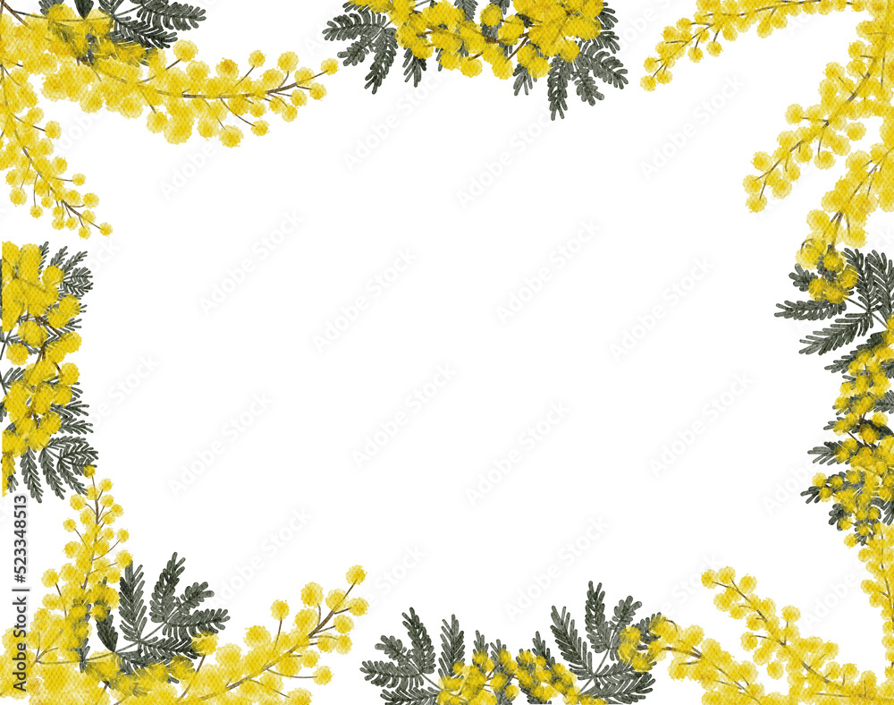Mimosa yellow spring flowers watercolor with transparent background Mimosa yellow spring flowers watercolor with transparent background