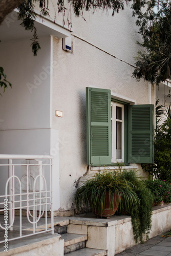 Nice facade with green window frames and plants near the house