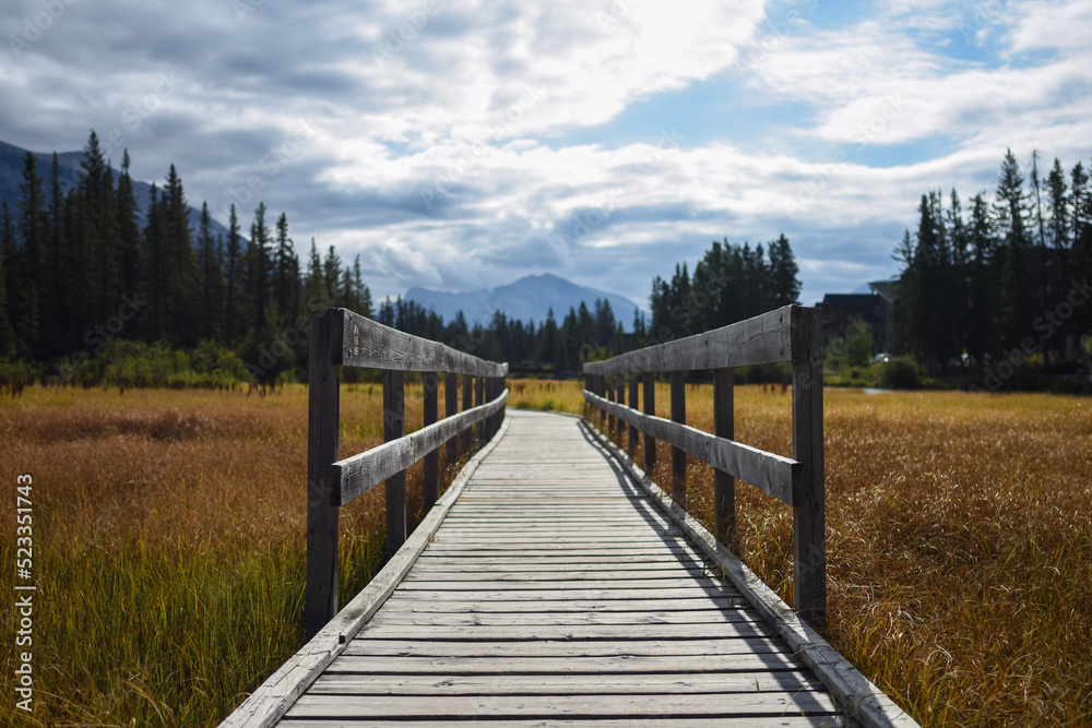 Fototapeta premium wooden bridge in the mountains