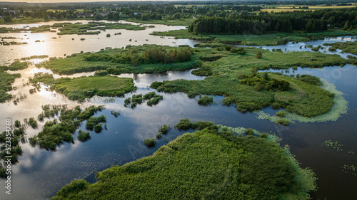 Aerial view of swamp in easter europe in summer hot day