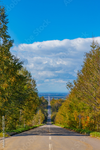 美しい北海道の秋の景色