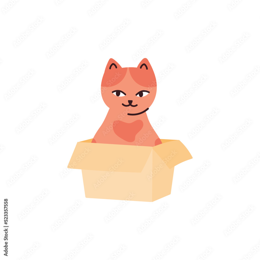 Cute kitten with orange spots sitting in a box. Vector illustration print with a domestic cat.