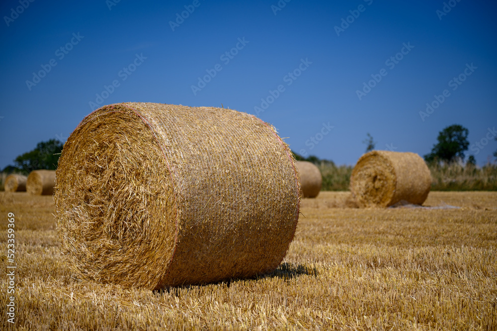 Bales of hay on a farm in the english countryside with clear blue sky