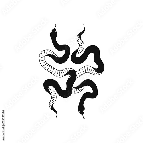 vector illustration of two snakes concept