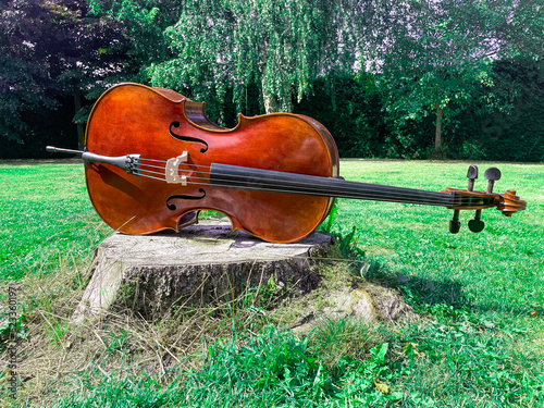 Leinwand Poster Cello on treestump in the park on a sunny day
