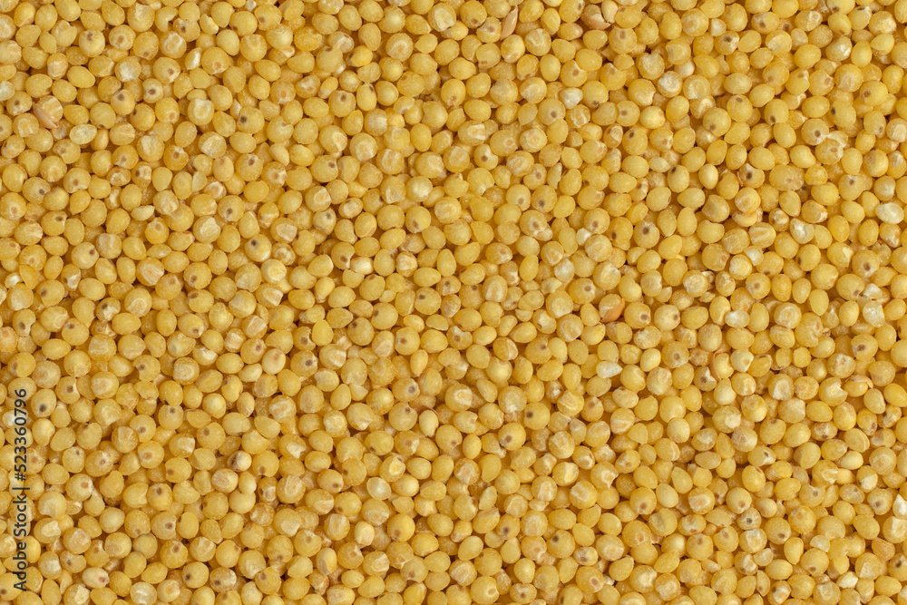 Millet groats background. Top view, close-up. Millet groats background. Top view, close-up.