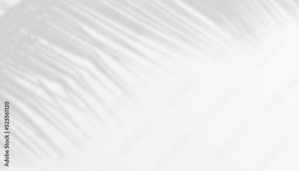 Obraz premium Shadow of Palm Leaves on white Cement wall for Abstract Background.