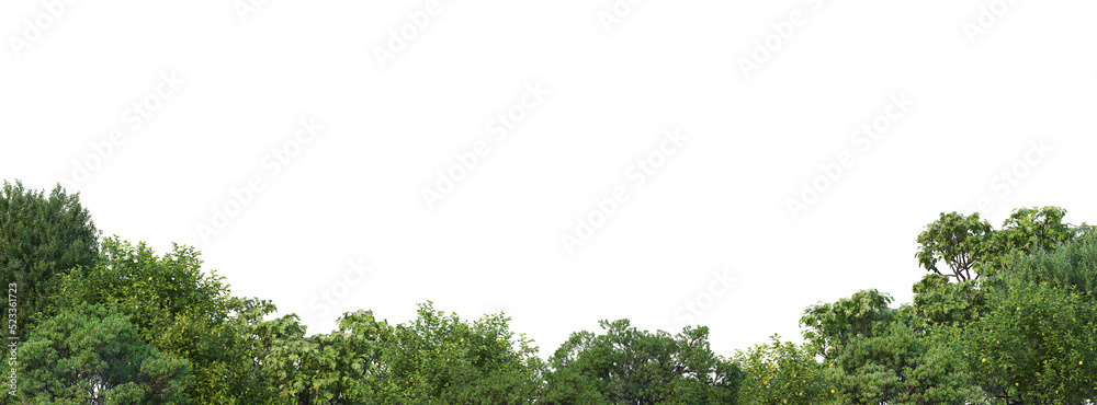 Obraz premium Forest foreground on a transparent background 