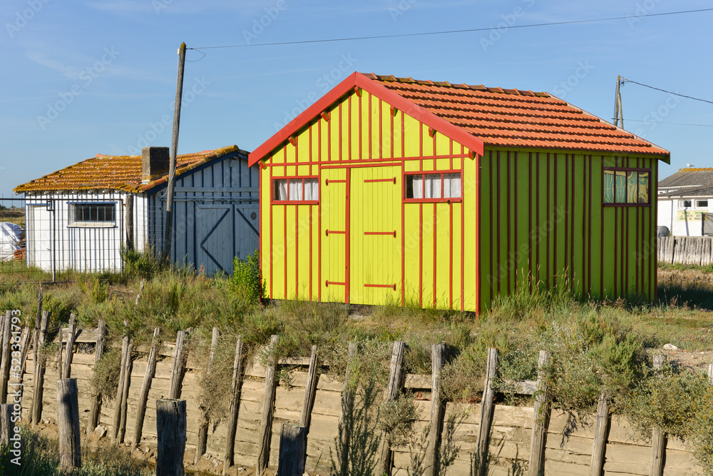 Fototapeta premium Site ostréicole, Fort Royer, Réserve naturelle maritime, Moêze Oléron, Ile d'Oléron, Charentes Maritimes, 17