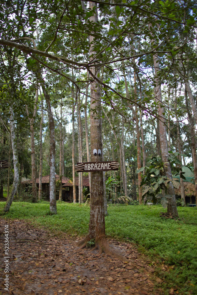 Huayo Forest or Bosque de Huayo Huayo Forest or Bosque de Huayo