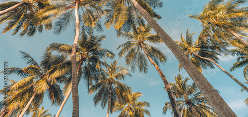 Beautiful vacation and nature travel adventure panoramic banner. Idyllic tropical Mediterranean view. Copy space of silhouette tropical palm trees sun light on sunset sky, summer abstract background © icemanphotos