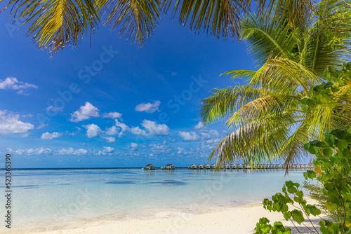 Fototapeta Naklejka Na Ścianę i Meble -  Maldives island beach. Tropical landscape white sand with palm tree leaves. Luxury travel vacation destination. Exotic beach landscape. Amazing nature, relax, freedom, tranquil nature background