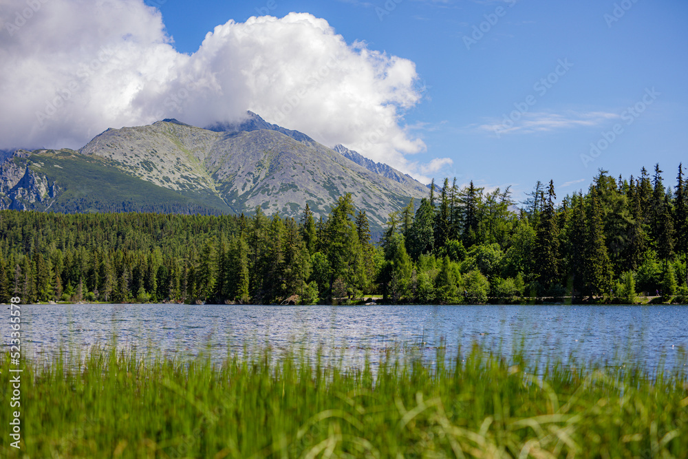 Mountain landscape, picturesque lake in spring summer morning, panorama. Green pine forest sunny blue sky, idyllic nature scenery. Beautiful mountain lake on a clear day. High Tatras