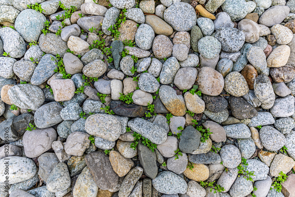 Pebble path with large rocks. Green plants colorful stones, pebbles as pathway in the mountains. Road in the beautiful garden
Pebble path with large rocks. Green plants colorful stones, pebbles as pathway in the mountains. Road in the beautiful garden