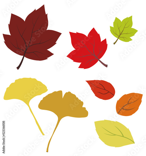 Illustration of fallen leaves with maple leaves and ginkgo leaves