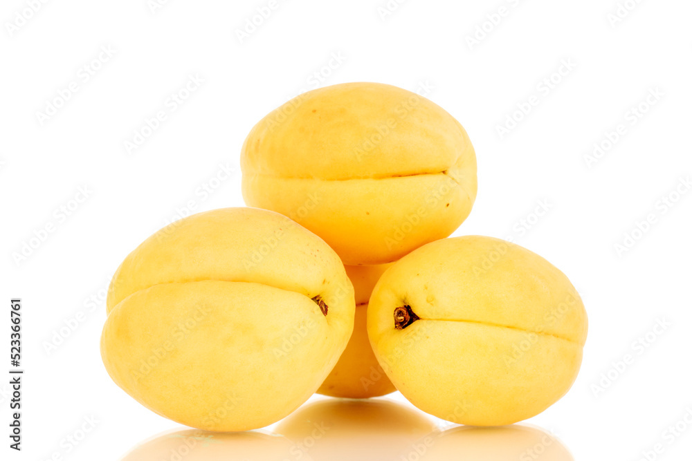 Three bright yellow juicy pineapple apricots, macro, isolated on a white background.