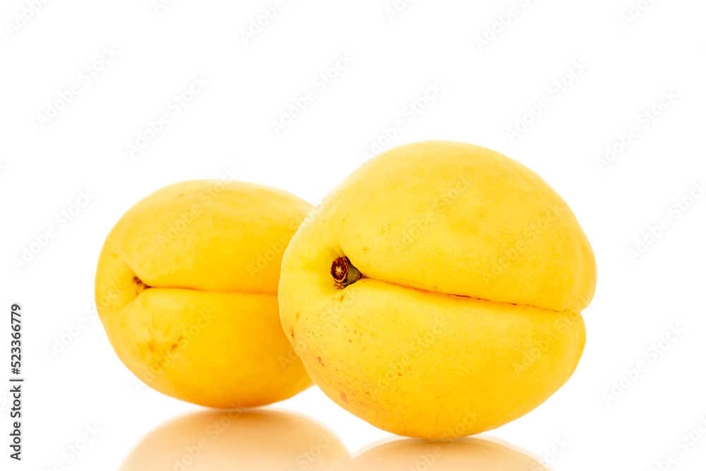 Two bright yellow juicy pineapple apricots, macro isolated on a white background.