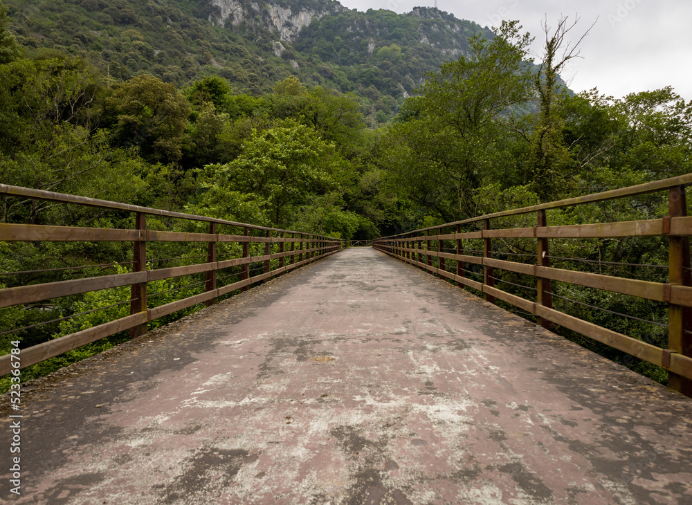 Fototapeta premium Pedestrian path between mountains of the Principality of Asturias.