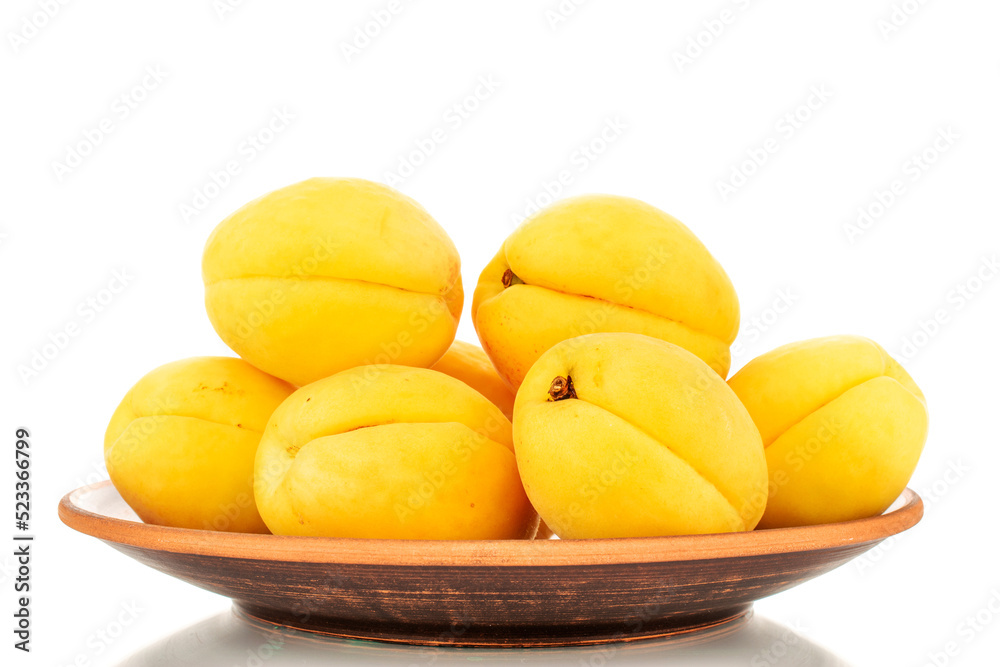 Several bright yellow juicy pineapple apricots in a pottery, macro, isolated on a white background.