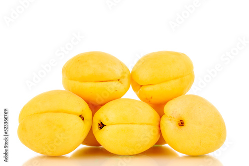 Several bright yellow juicy pineapple apricots, macro, isolated on a white background.