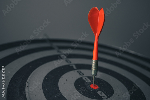 Bullseye is a target of business. Dart is an opportunity and Dartboard is the target and goal. So both of that represent a challenge in business marketing as concept.	

