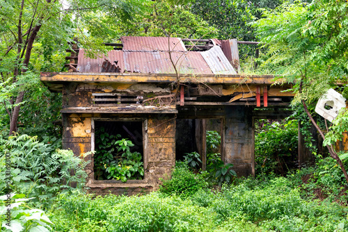 Remains of abandoned house taken over by vegetation